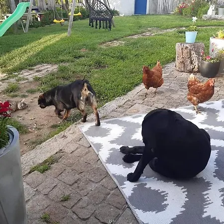 Casinha Nº461 빌라프라이라데안코라