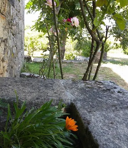 Casinha Nº461 펜션 *