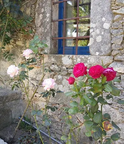 Casinha Nº461 빌라프라이라데안코라