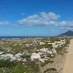 Casinha Nº461 Ferienhaus Vila Praia de Âncora