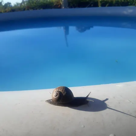 Hébergement de vacances Casinha Nº461 *