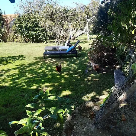 Casinha Nº461 * Vila Praia de Âncora