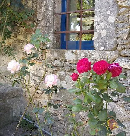 Casinha Nº461 Vila Praia de Âncora