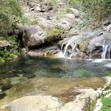 Casinha Nº461 Hébergement de vacances Vila Praia de Âncora