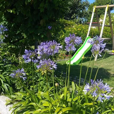 Casinha Nº461 * Vila Praia de Âncora