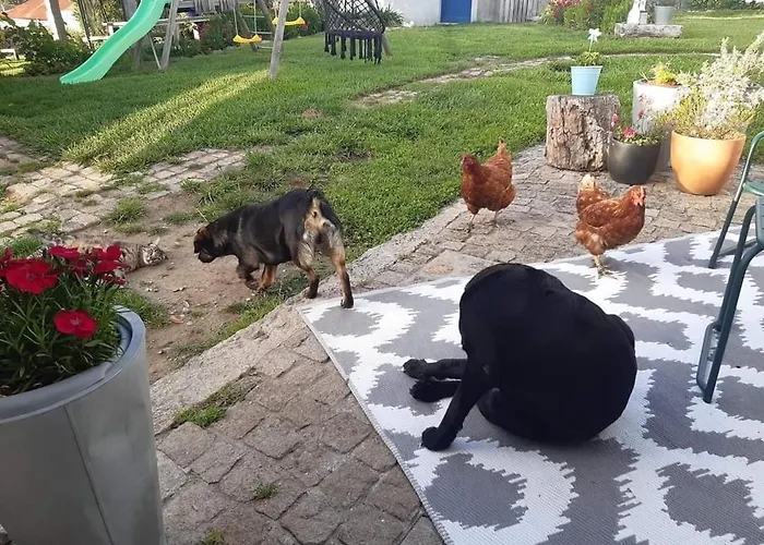 Casinha Nº461 Vila Praia de Âncora