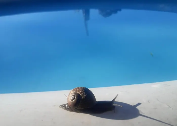 度假居 Casinha Nº461 *