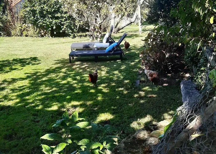 Casinha Nº461 * Vila Praia de Âncora