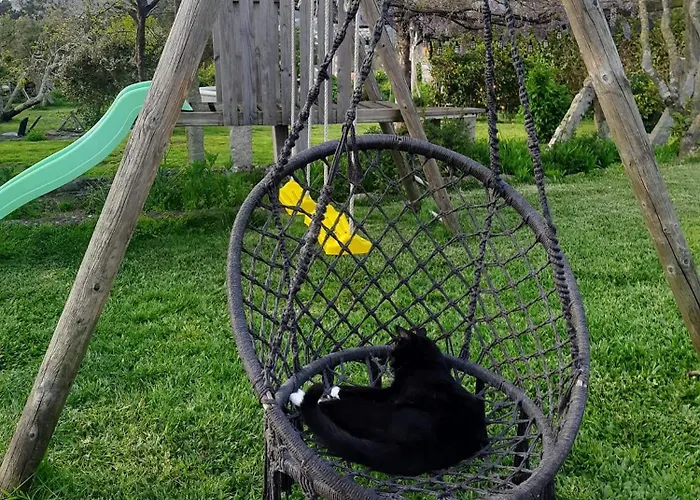 Prázdninový dům Casinha Nº461