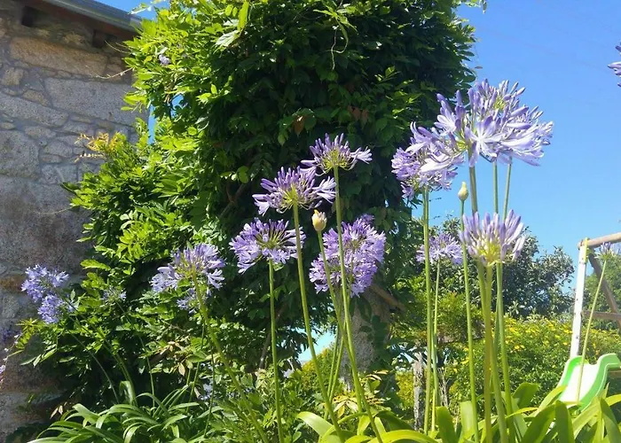 Casinha Nº461 Prázdninový dům Vila Praia de Âncora